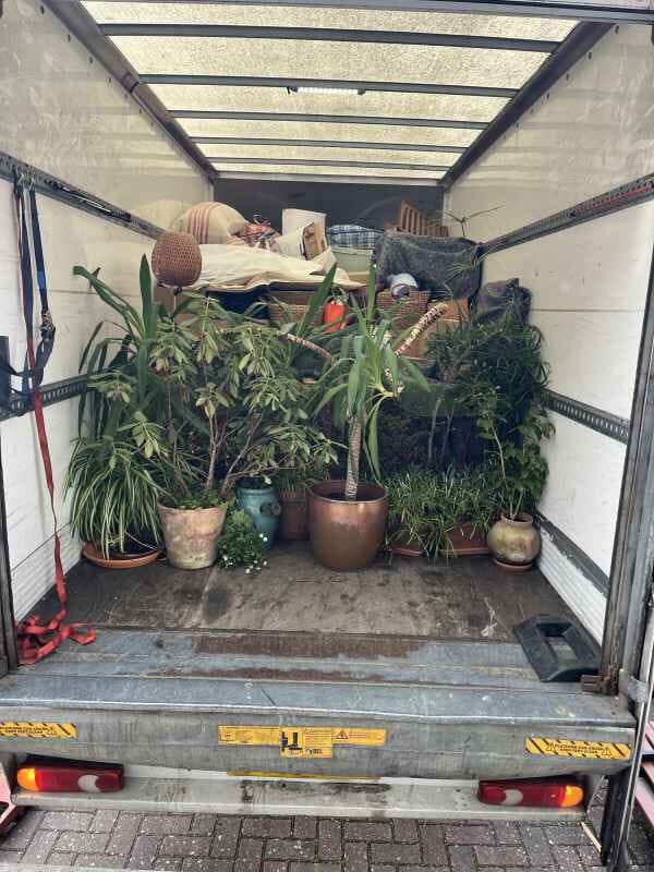 Man and van driver in London