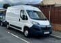 Luca Cucciniello | Service Provider at URemovals
