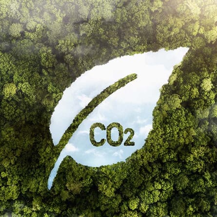 How much co2 is that?